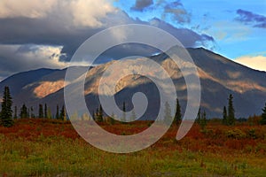 Autumn Foliage in Broad Pass, Alaska