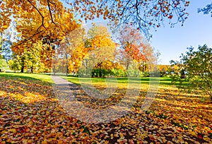 Autumn foliage in Catherine park, Pushkin Tsarskoe Selo, Saint Petersburg, Russia