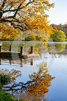 Autumn foliage in Catherine park, Pushkin Tsarskoe Selo, Saint Petersburg, Russia