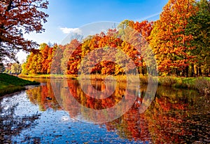 Autumn foliage in Catherine park, Pushkin Tsarskoe Selo, Saint Petersburg, Russia