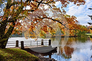 Autumn foliage in Catherine park, Pushkin Tsarskoe Selo, Saint Petersburg, Russia