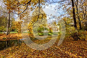 Autumn foliage in Catherine park, Pushkin Tsarskoe Selo, Saint Petersburg, Russia