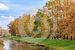 Autumn foliage in Catherine park, Pushkin Tsarskoe Selo, Saint Petersburg, Russia