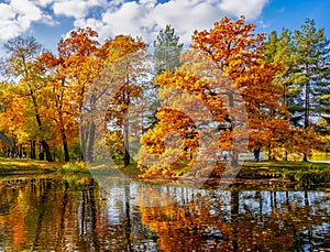 Autumn foliage in Catherine park, Pushkin (Tsarskoe Selo), Saint Petersburg, Russia