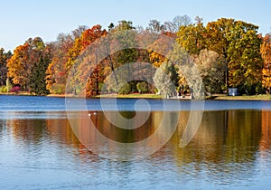 Autumn foliage in Catherine park, Pushkin (Tsarskoe Selo), Saint Petersburg, Russia