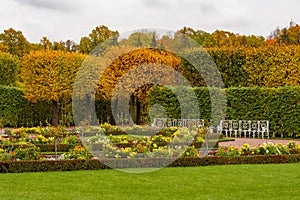 Autumn foliage in Catherine park, Tsarskoe Selo Pushkin, Saint Petersburg, Russia