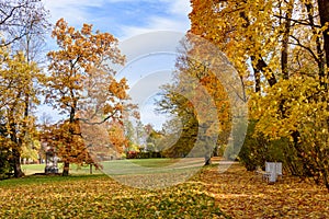 Autumn foliage in Catherine park, Tsarskoe Selo Pushkin, Saint Petersburg, Russia