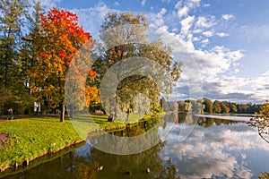 Autumn foliage in Catherine park, Tsarskoe Selo Pushkin, St. Petersburg, Russia