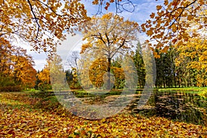 Autumn foliage in Catherine park, Tsarskoe Selo Pushkin, St. Petersburg, Russia