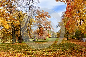 Autumn foliage in Catherine park, Tsarskoe Selo Pushkin, St. Petersburg, Russia