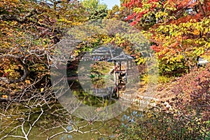 Autumn foliage in Changdeokgung palace