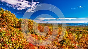 Autumn foliage in fall season. Red autumn landscapes in fall, trees and mountains of New England