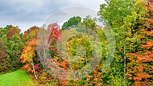 Autumn foliage in fall season. Red autumn landscapes in fall, trees and mountains of New England