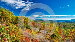 Autumn foliage in fall season. Red autumn landscapes in fall, trees and mountains of New England