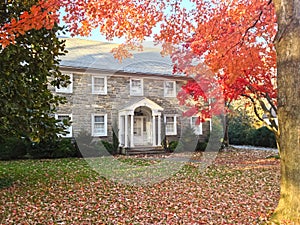 Autumn foliage at family house frontyard