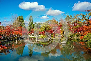 Autumn foliage garden and pond at Eikando temple in Kyoto