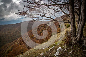 Autumn foliage on the Italian mountains photo