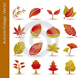 Autumn foliage leaf icons set