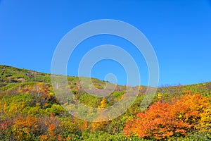 Autumn foliage of Mt.Hachimantai