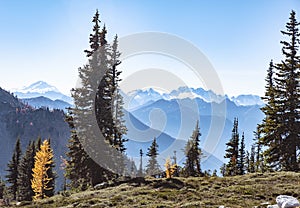 North Cascades National Park photo