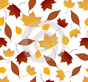 Autumn foliage pattern