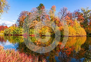 Autumn foliage in Pavlovsky park, Pavlovsk, Saint Petersburg, Russia