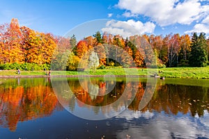 Autumn foliage in Pavlovsky park, Pavlovsk, Saint Petersburg, Russia