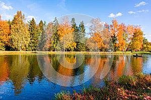 Autumn foliage in Pavlovsky park, Pavlovsk, Saint Petersburg, Russia