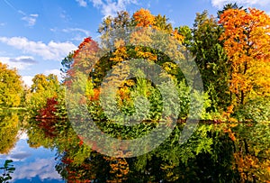 Autumn foliage in Pavlovsky park, Pavlovsk, Saint Petersburg, Russia