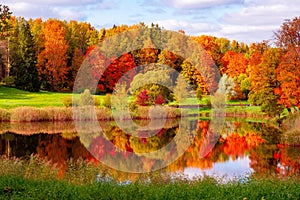 Autumn foliage in Pavlovsky park, Pavlovsk, Saint Petersburg, Russia