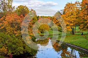 Autumn foliage in Pavlovsky park, Pavlovsk, Saint Petersburg, Russia