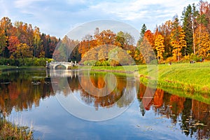 Autumn foliage in Pavlovsky park, Pavlovsk, St. Petersburg, Russia