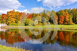 Autumn foliage in Pavlovsky park, Pavlovsk, St. Petersburg, Russia