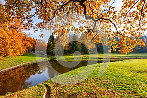 Autumn foliage in Pavlovsky park, Pavlovsk, St. Petersburg, Russia