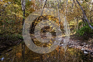 Autumn foliage reflected in a creek at Cuivre River State Park near Troy, Mo photo