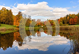 Autumn foliage reflected in pond in Pavlovsky park, Pavlovsk, Saint Petersburg, Russia