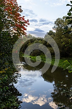 Autumn foliage is reflected in the river. Riverside environmnet of autumn river