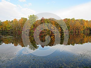 Autumn Foliage reflecting in the water at Lily Lake