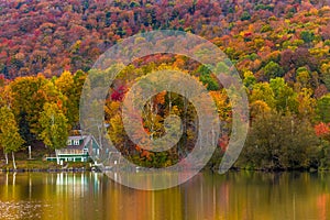 Autumn foliage and reflection in Vermont, Elmore state park