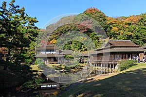 Autumn foliage in the Sankeien Garden, Yokohama, Kanagawa, Japan