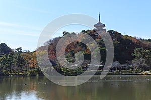 Autumn foliage in the Sankeien Garden, Yokohama, Kanagawa, Japan