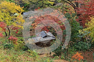 Autumn foliage in the Sankeien Garden, Yokohama, Kanagawa, Japan