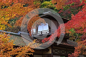 Autumn foliage in the Sankeien Garden, Yokohama, Kanagawa, Japan