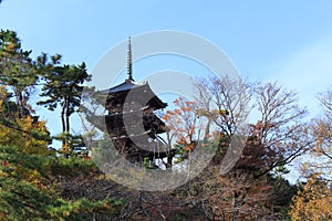 Autumn foliage in the Sankeien Garden, Yokohama, Kanagawa, Japan