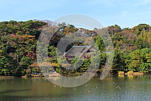 Autumn foliage in the Sankeien Garden, Yokohama, Kanagawa, Japan