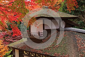 Autumn foliage in the Sankeien Garden, Yokohama, Kanagawa, Japan