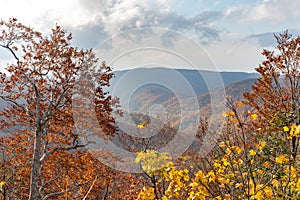 Autumn foliage scenery. Aerial view of valley and stream in fall season.