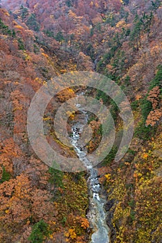 Autumn foliage scenery. Aerial view of valley and stream in fall season.