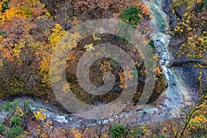 Autumn foliage scenery. Aerial view of valley and stream in fall season.