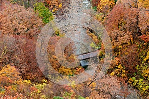 Autumn foliage scenery. Aerial view of valley and stream in fall season.